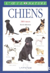 Chiens