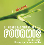 Le monde fascinant des fourmis