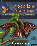 Insectes et araignes