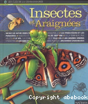 Insectes et araignes